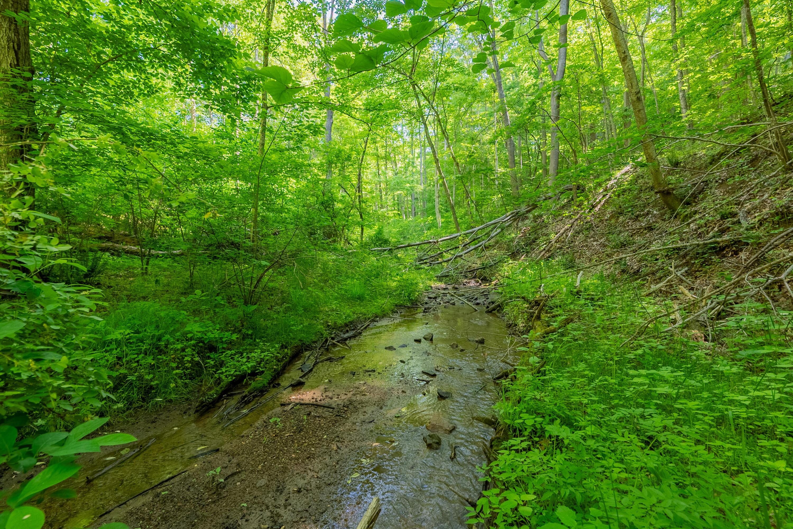 Image 2: copper hill-140