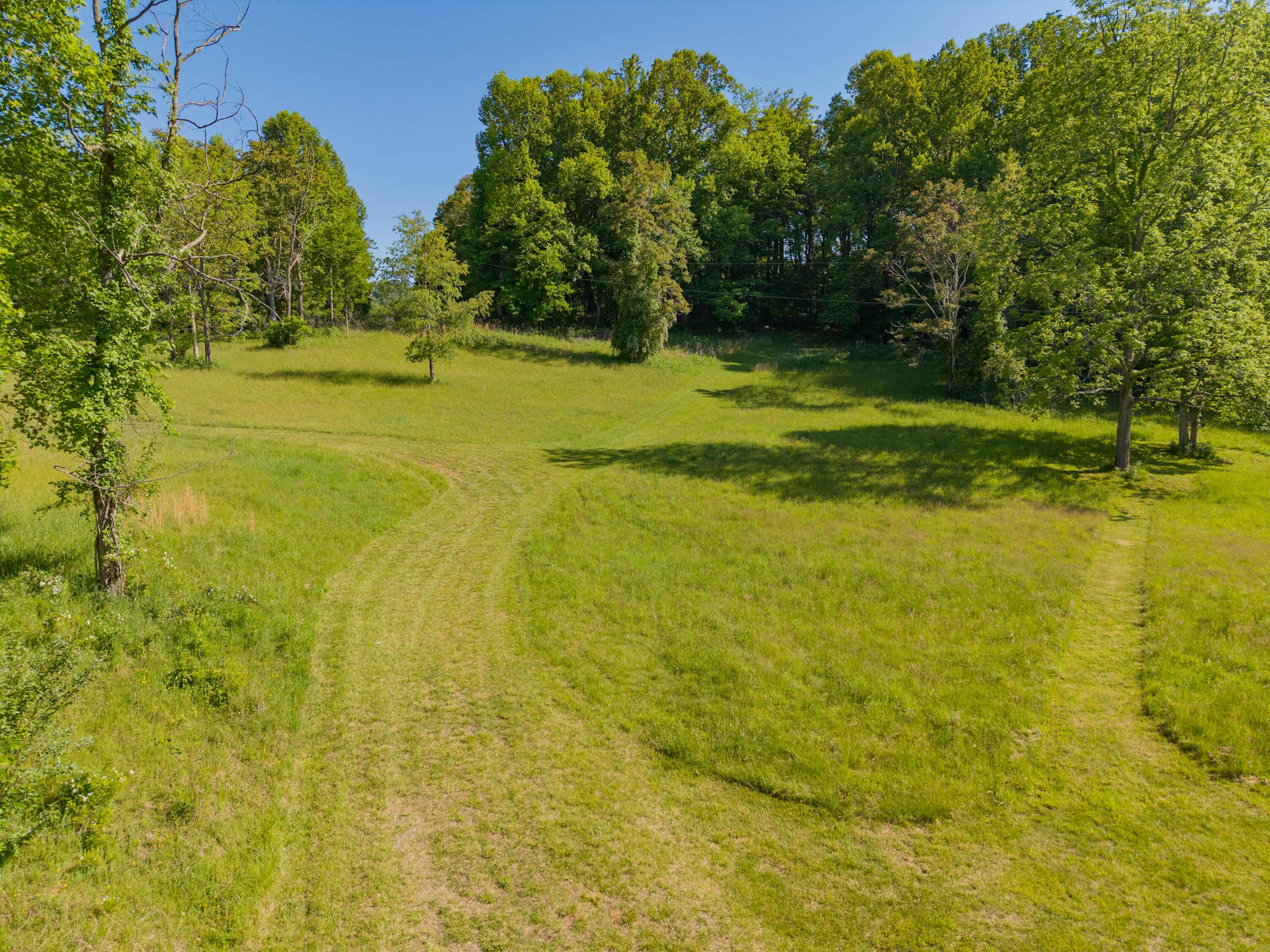 Image 3: copper hill-1