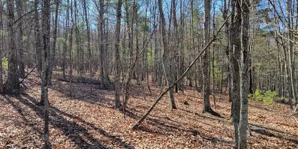 Lot #4A Mountain Acres CIR