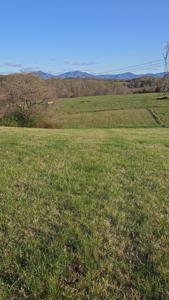 Lot 15 McDaniel RD