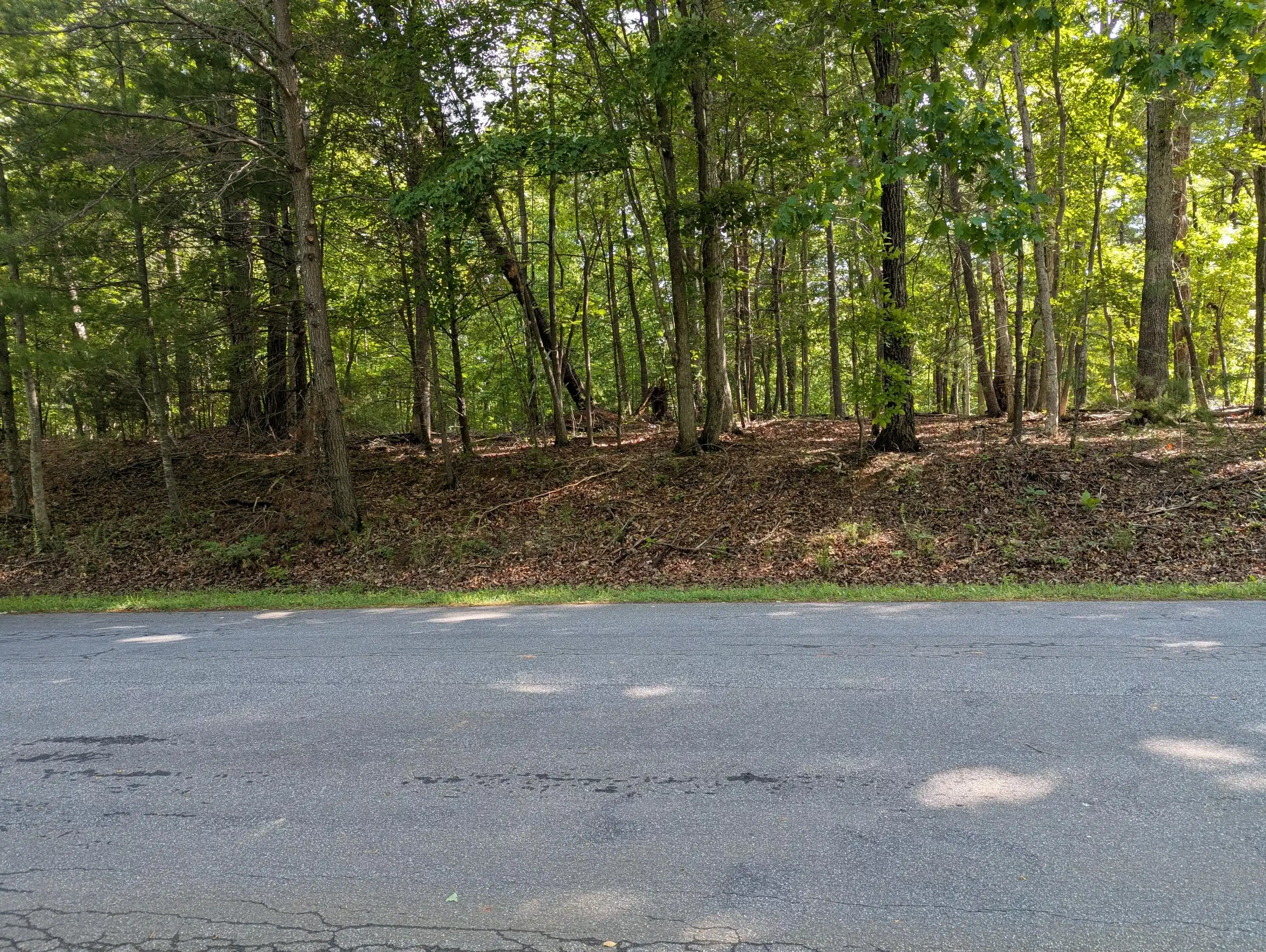 Image 1: 0 Regency Blvd