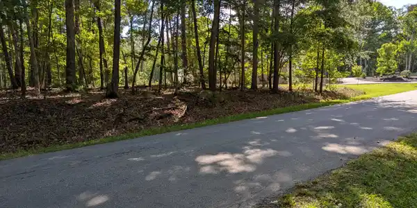 Image 2: 0 Regency Blvd