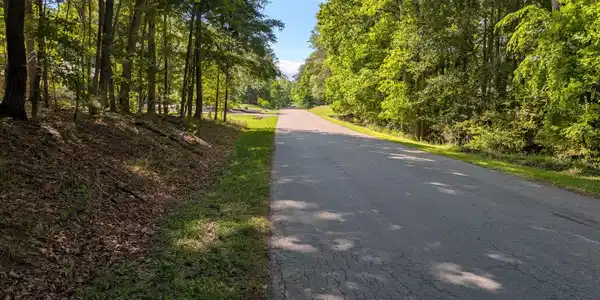 Image 4: 0 Regency Blvd
