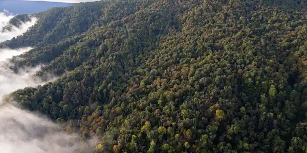 Lot #na Robertson Mountain RD