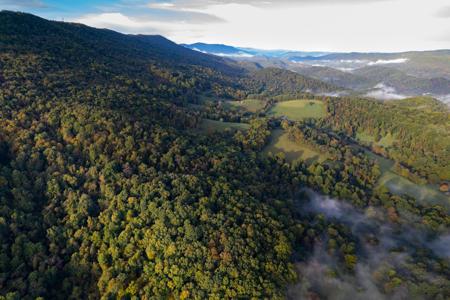 Lot #na Robertson Mountain RD