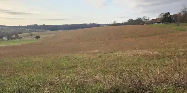 Image 2: Welcome to Tract 1 Stewartsville Road