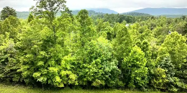 Image 2: Lot 5 Reservoir View