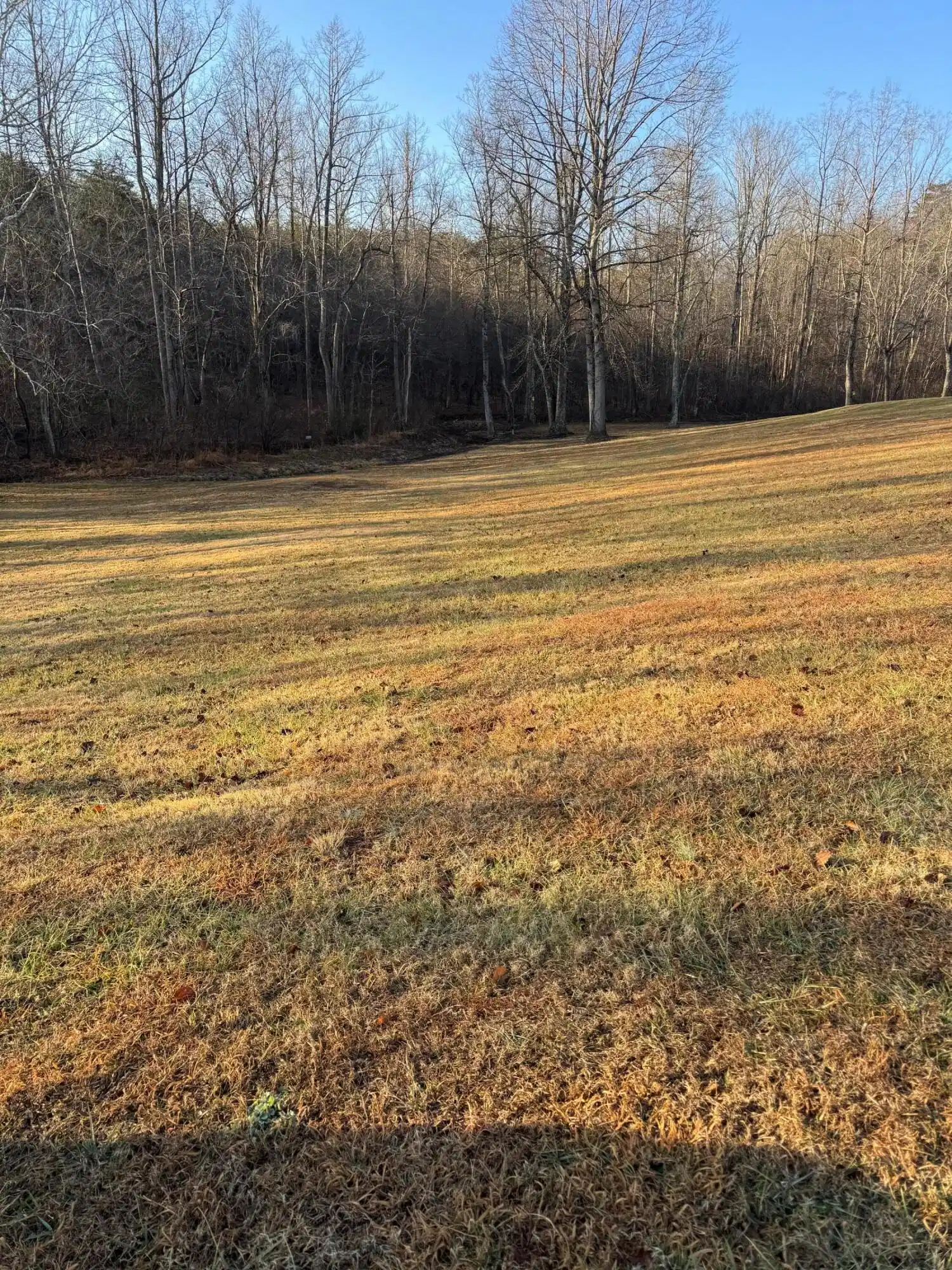 Image 1: Lot 4 Sunny Seven Dr