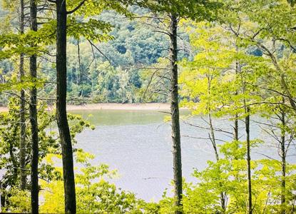 Lot 119 Greenberry DR