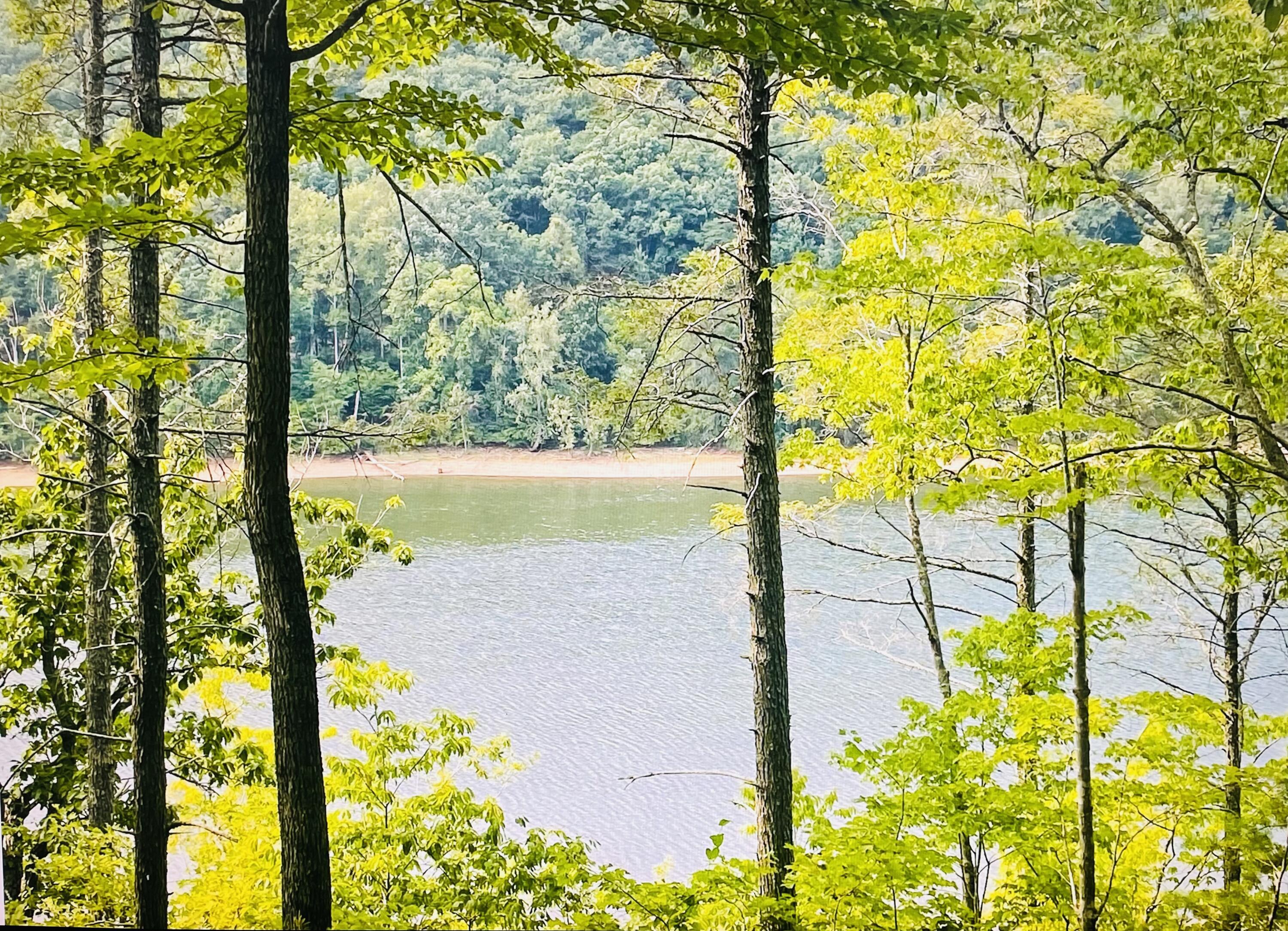 Image 1: Main Photo