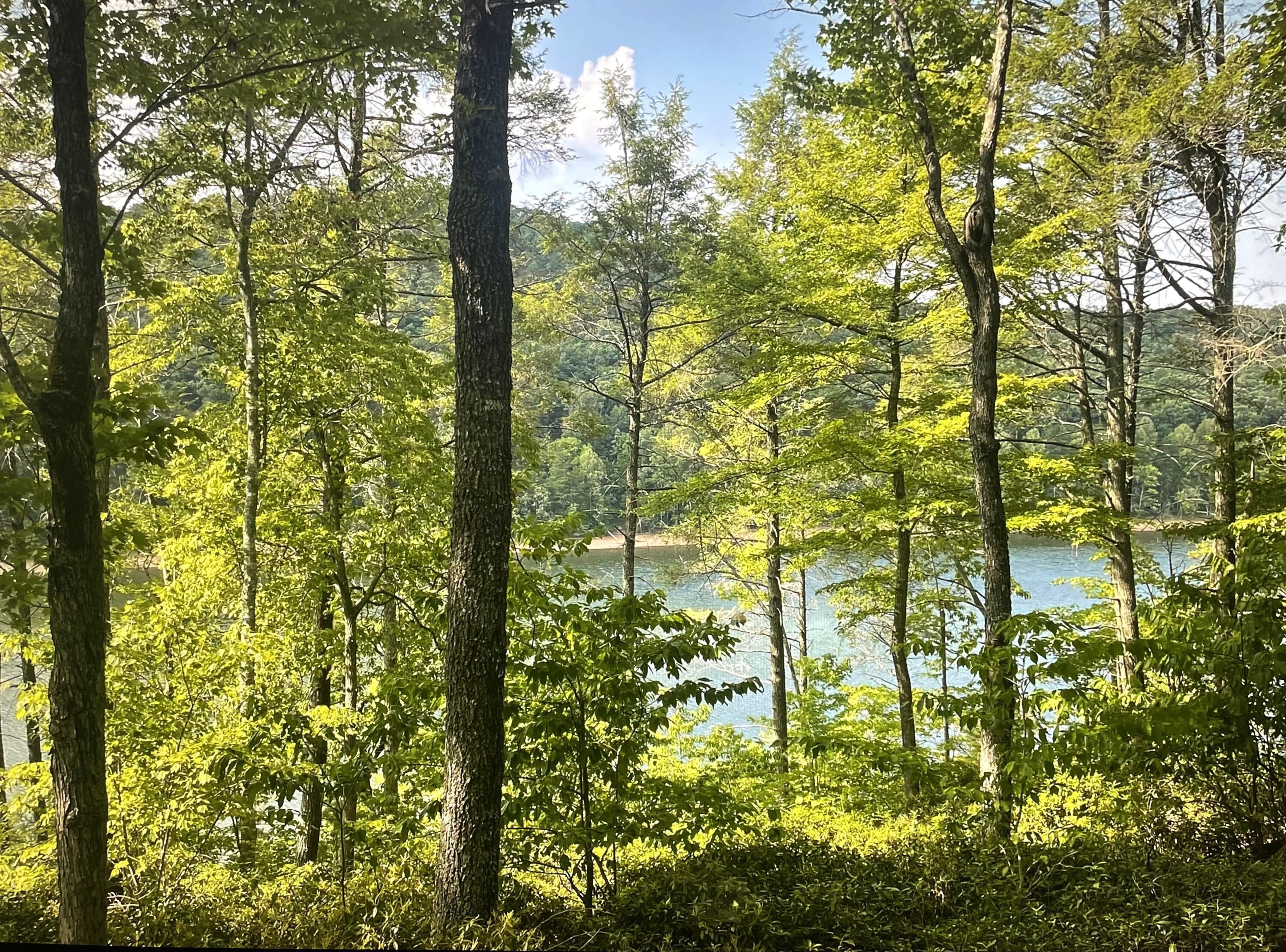 Image 3: Views  Lot 119