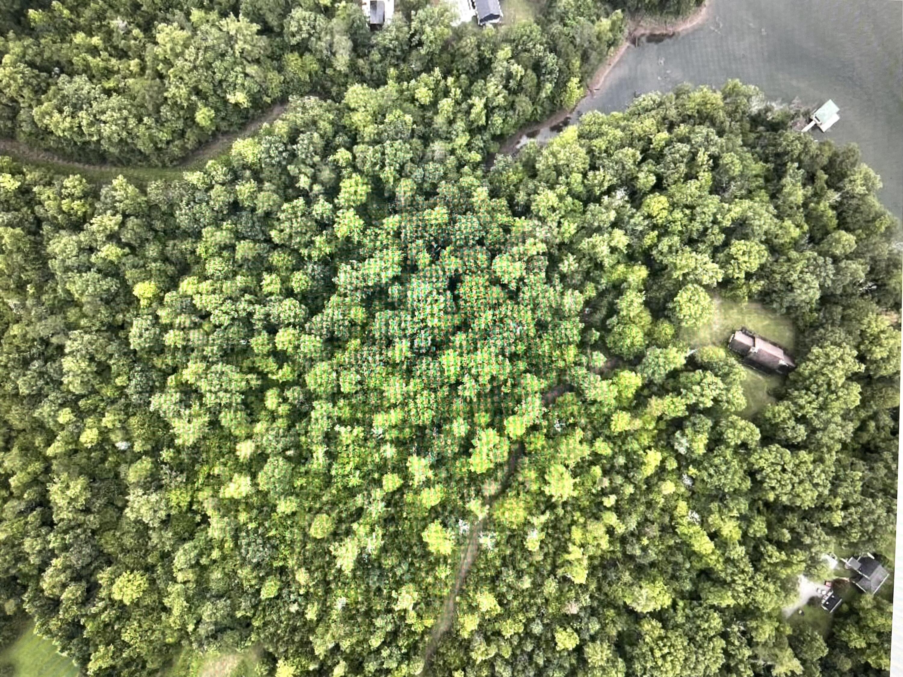 Image 3: Lot 5 Reservior View Water at point of c