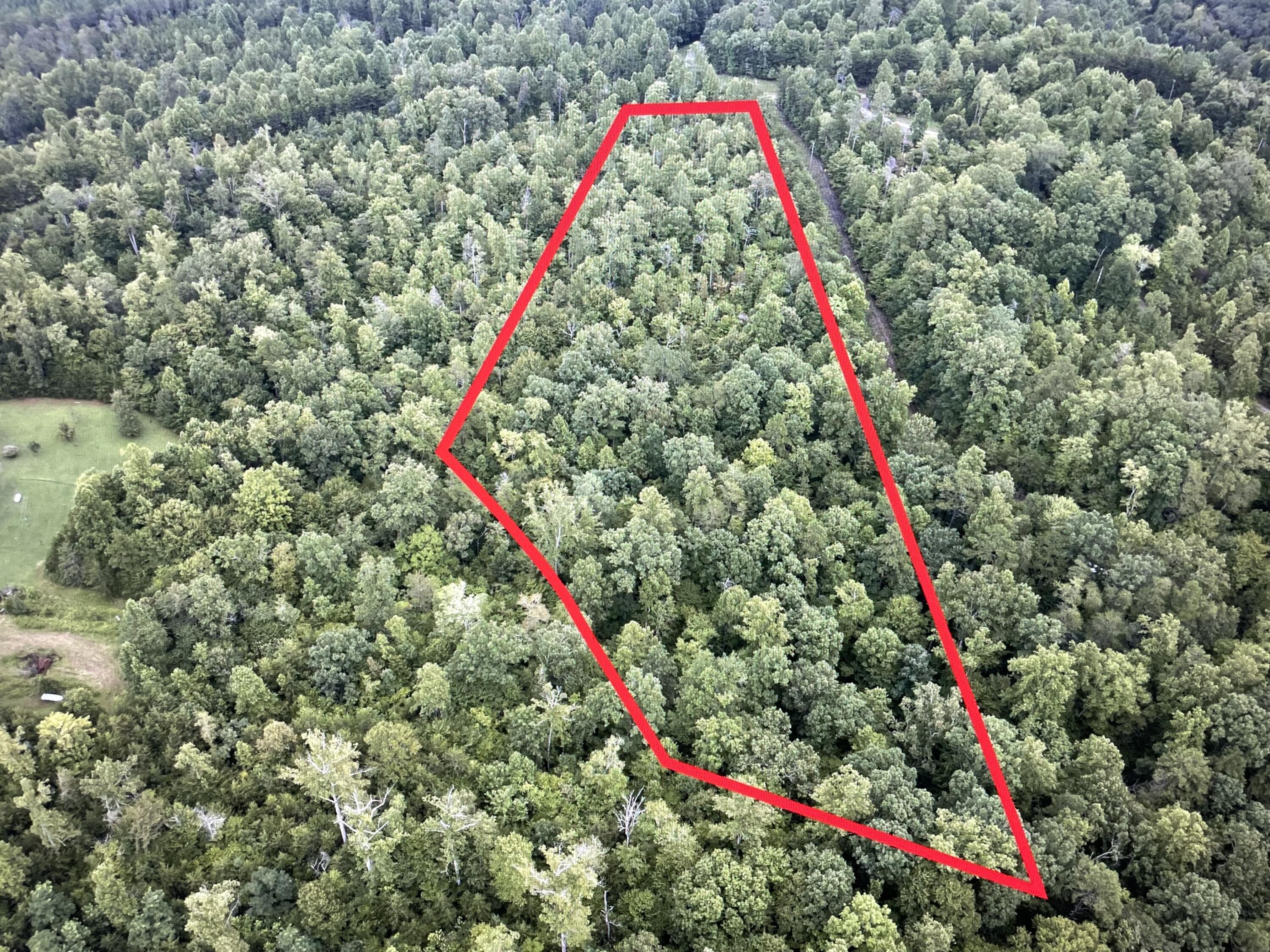 Image 4: Lot 5 Reservoir View Sketch