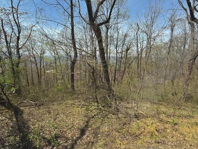 Lot 2 Murray Hollow RD