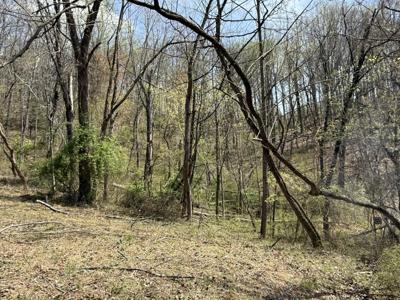 Lot 4 Murray Hollow RD