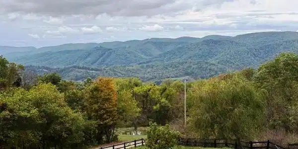 475 Darnell Mountain RD
