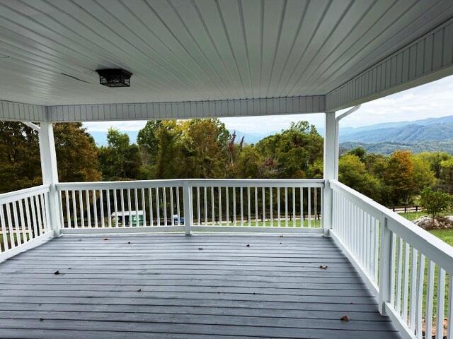 Image 4: IMG_8331 (1)