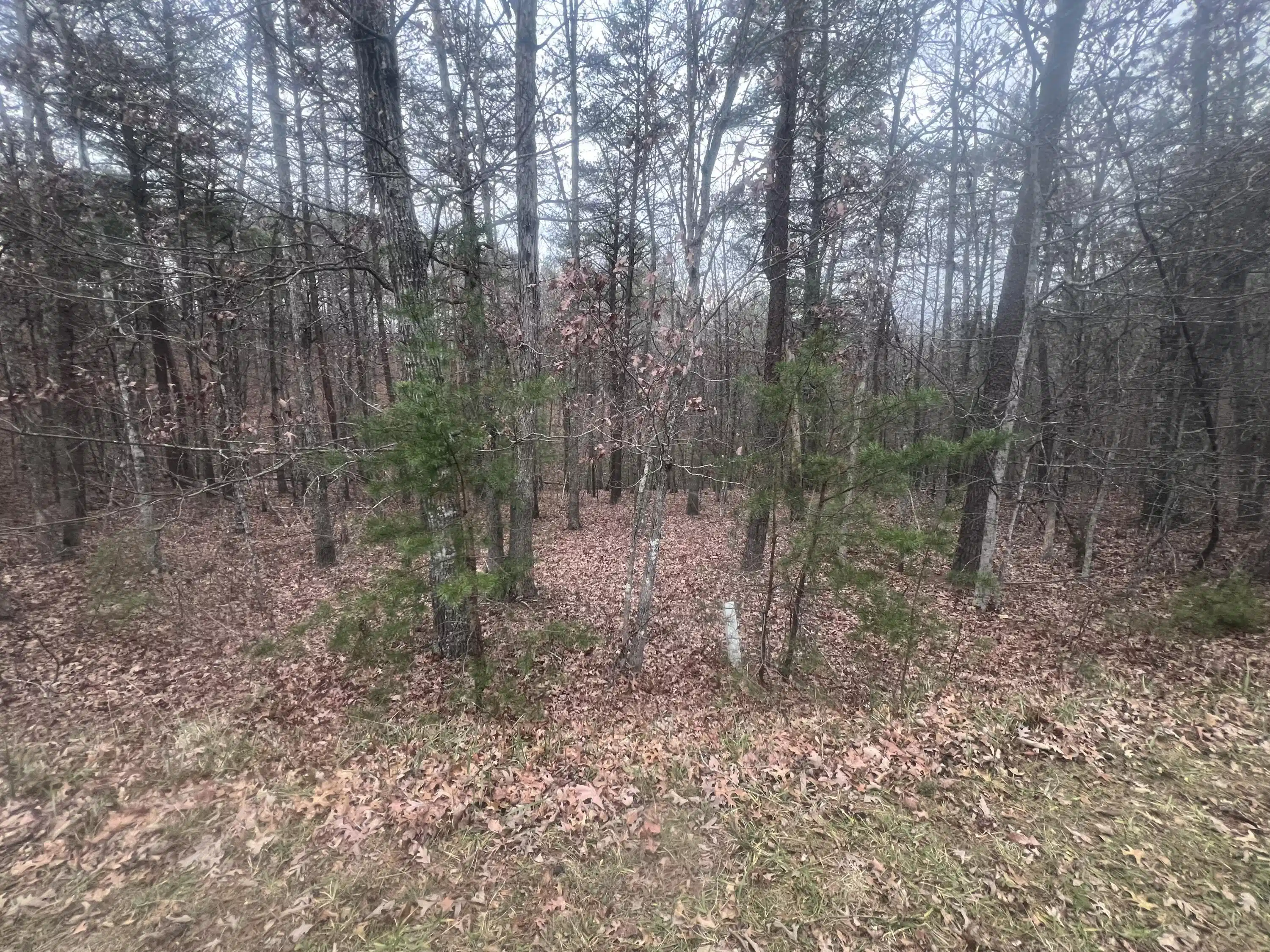 Image 1: 2851 Lindsay Dr