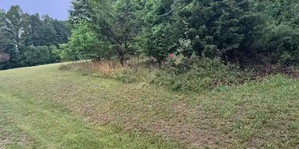 0 Fork Mountain RD