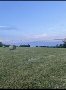 Housman Farm LN