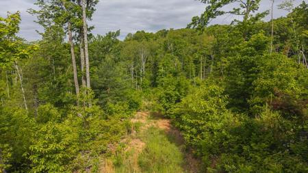 Lot 2 Shortcut DR