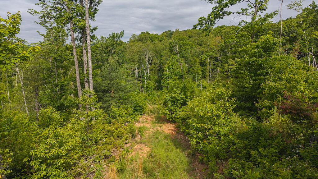 Image 1: DJI_20250508094833_0681_D