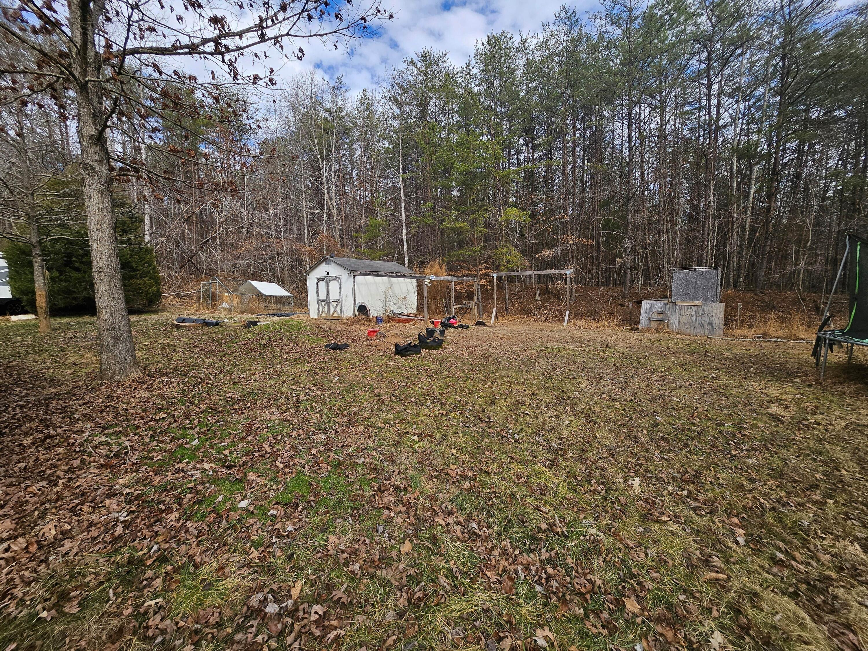 Image 4: 20260221_125054 (1)