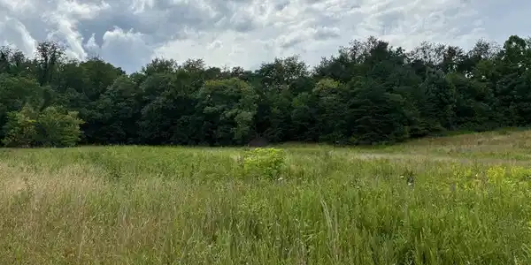 Image 4: TBD Bob White Blvd