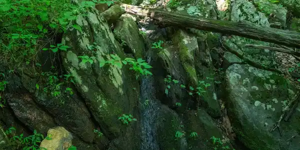 Image 4: Small waterfall over natural rock