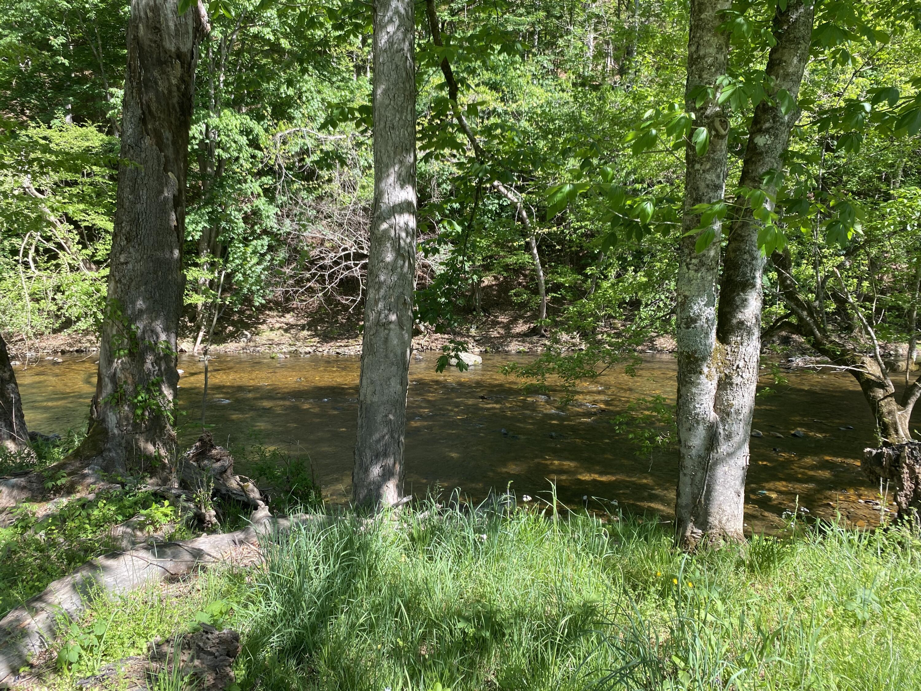 Image 1: Lot 16 Flick Dr