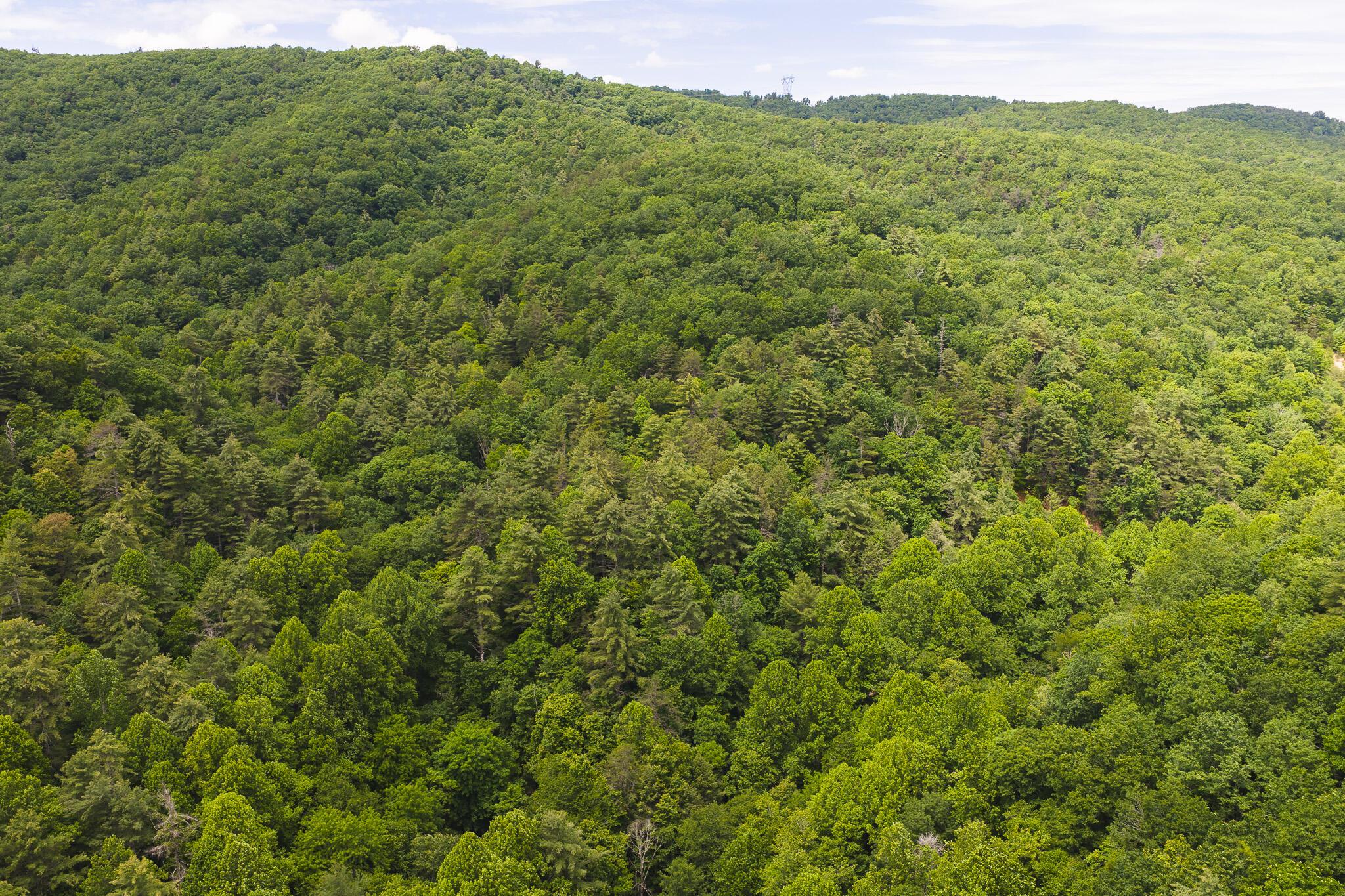 Image 2: DJI_20260601141559_0045_D