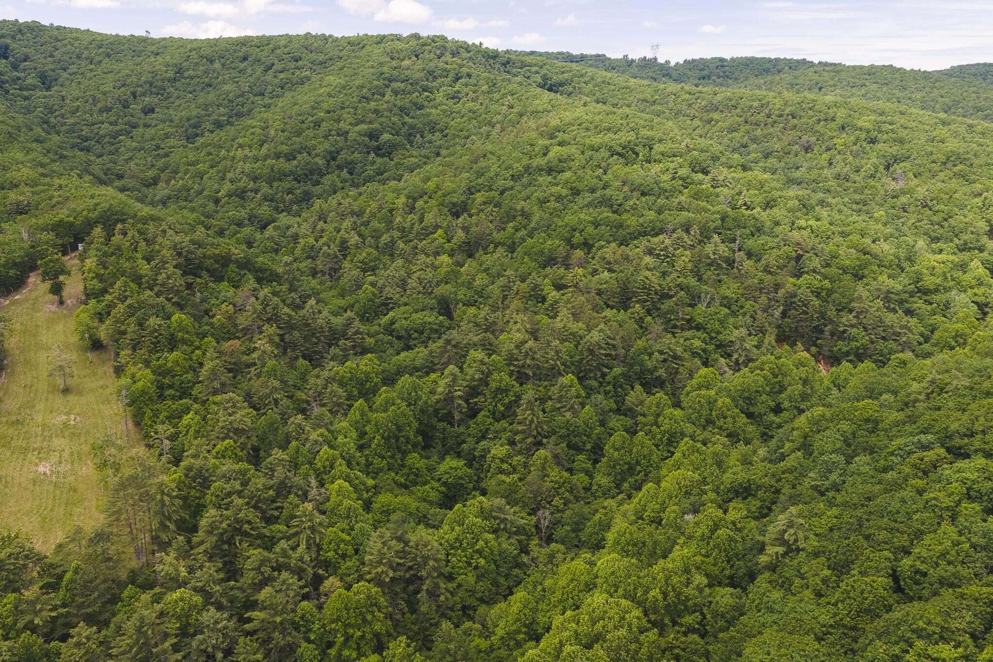 Image 3: DJI_20260601141626_0046_D