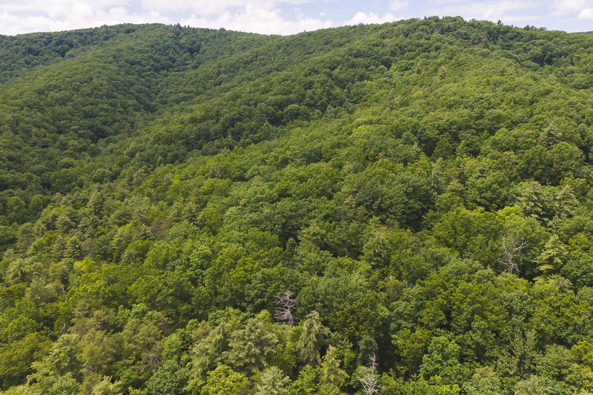 Image 4: DJI_20260601141744_0048_D