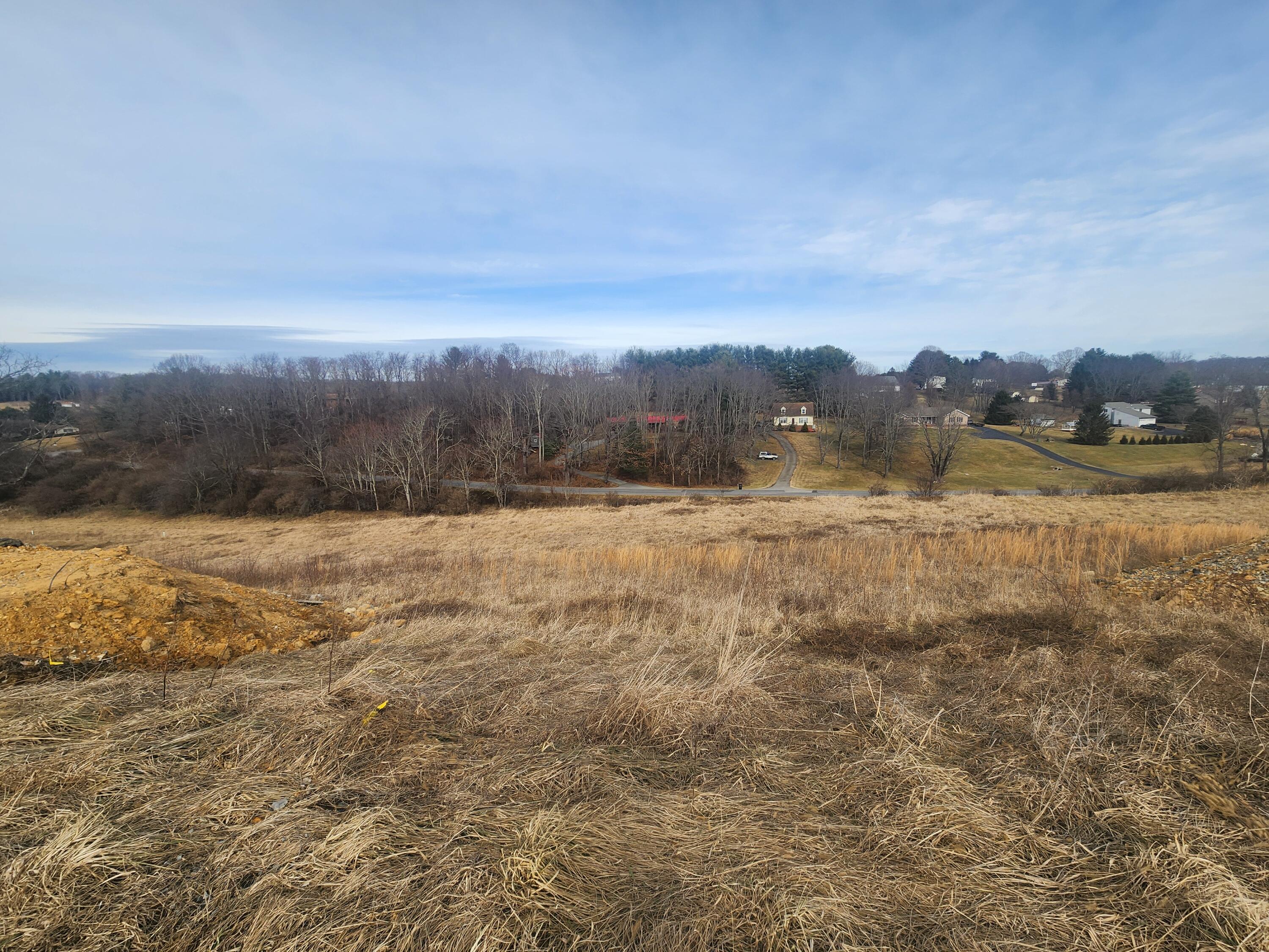 Image 3: CS lot 124