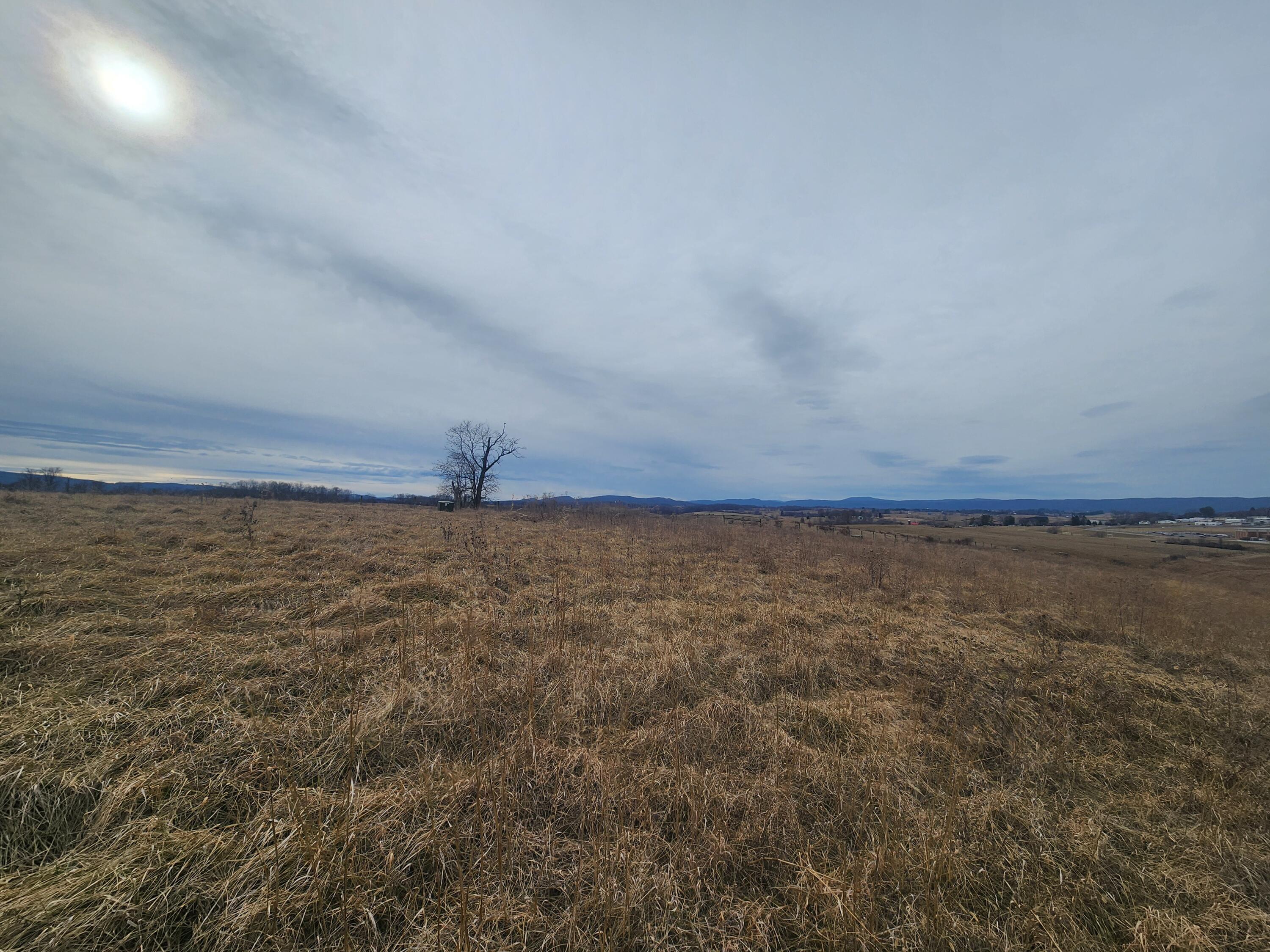 Image 2: CS lot 144