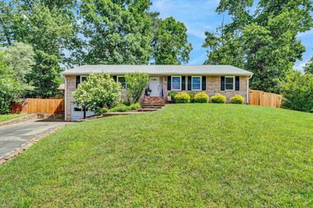 481 Dot CIR