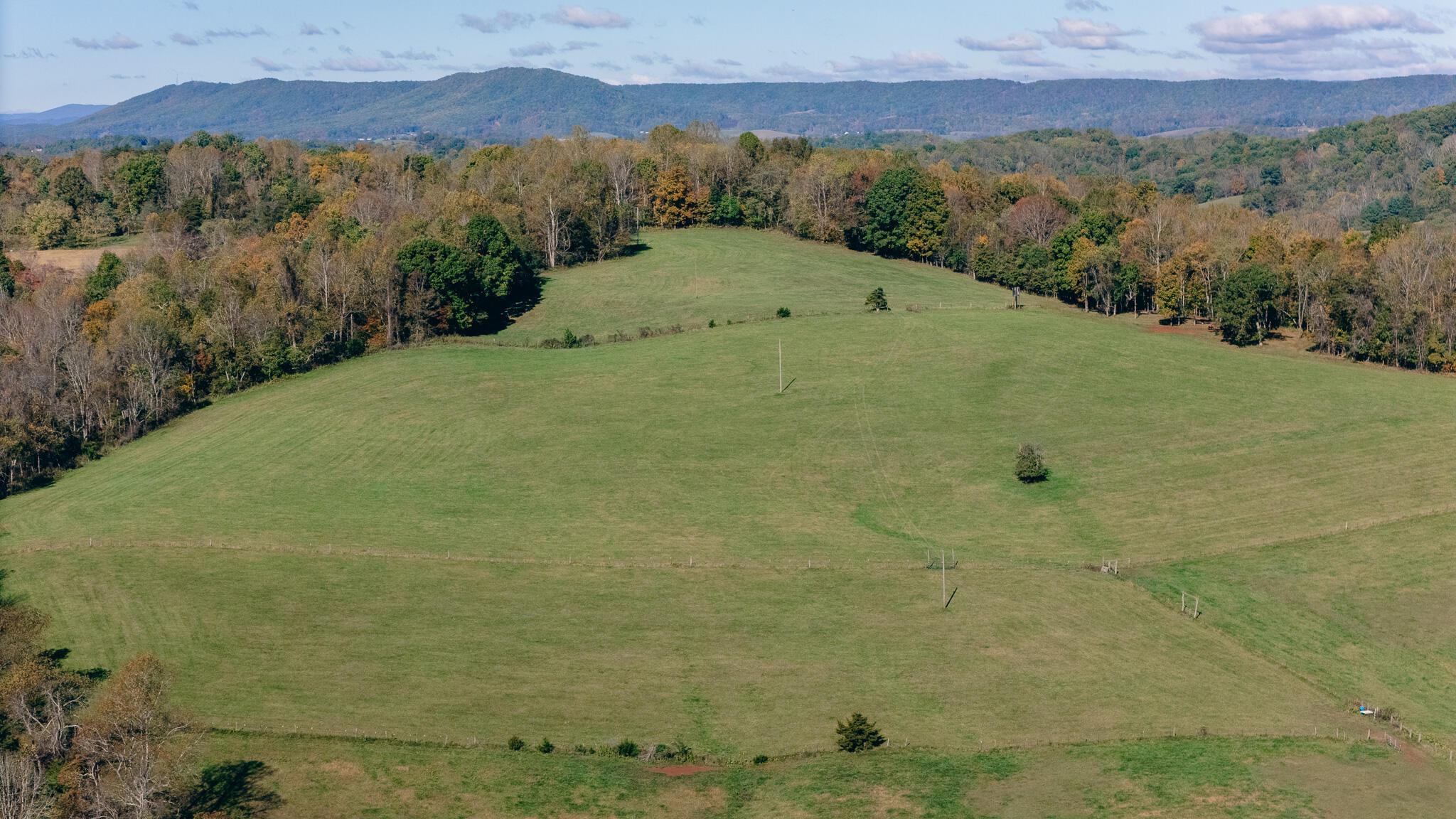 Image 2: King pic 11