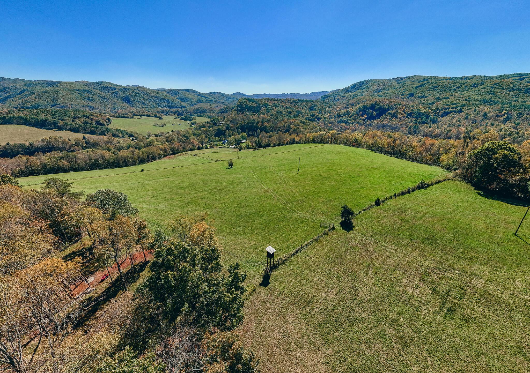 Image 4: King pic 17