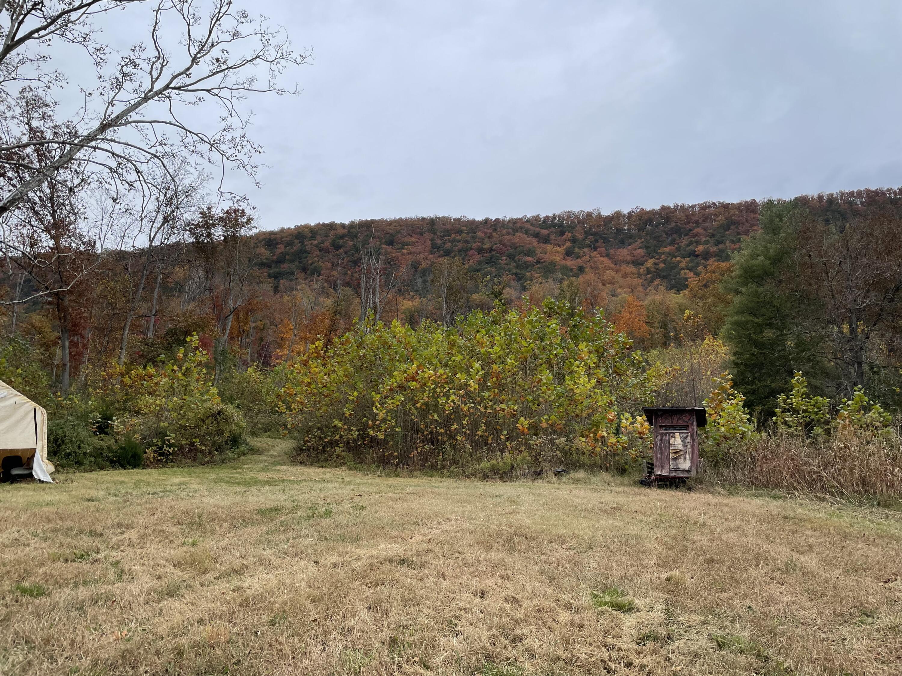 Image 2: IMG_7010