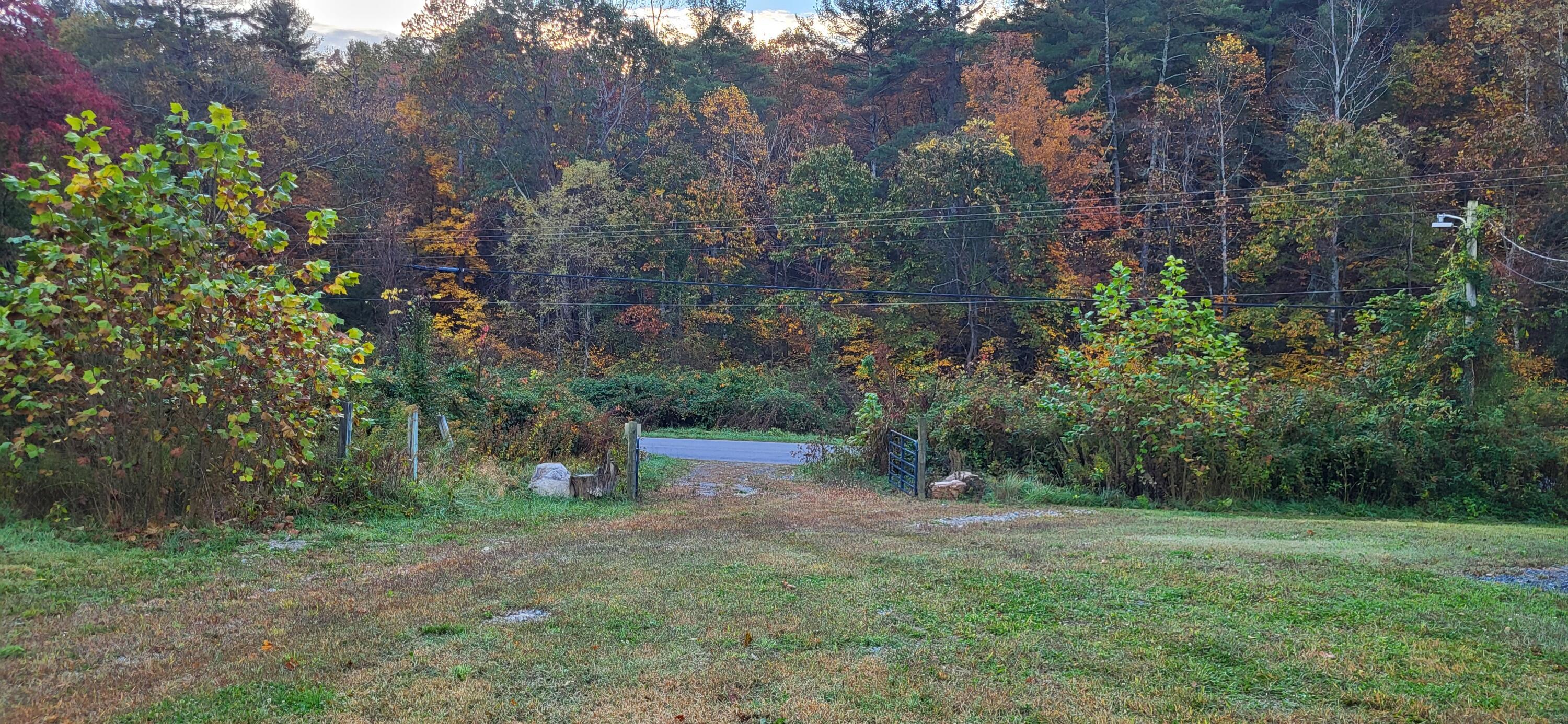 Image 4: 20231027_081503