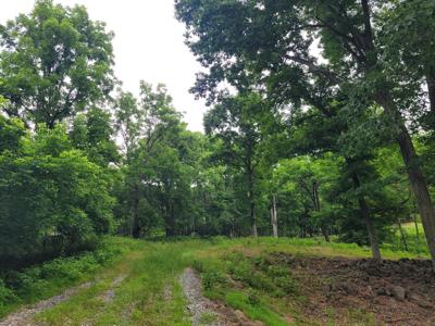 Murray Hollow RD