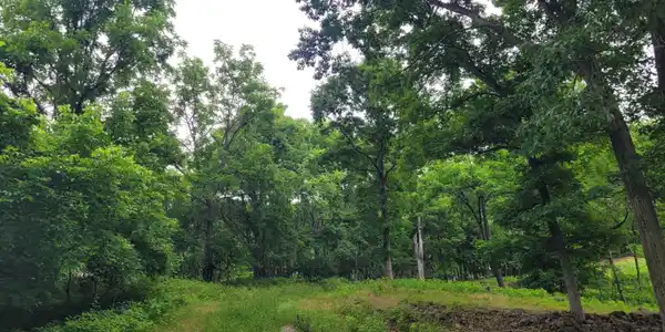Murray Hollow RD