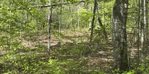 Dry Hill RD