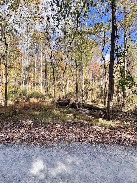 Image 1: Dry Branch Rd