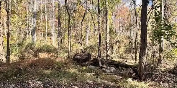 Dry Branch RD