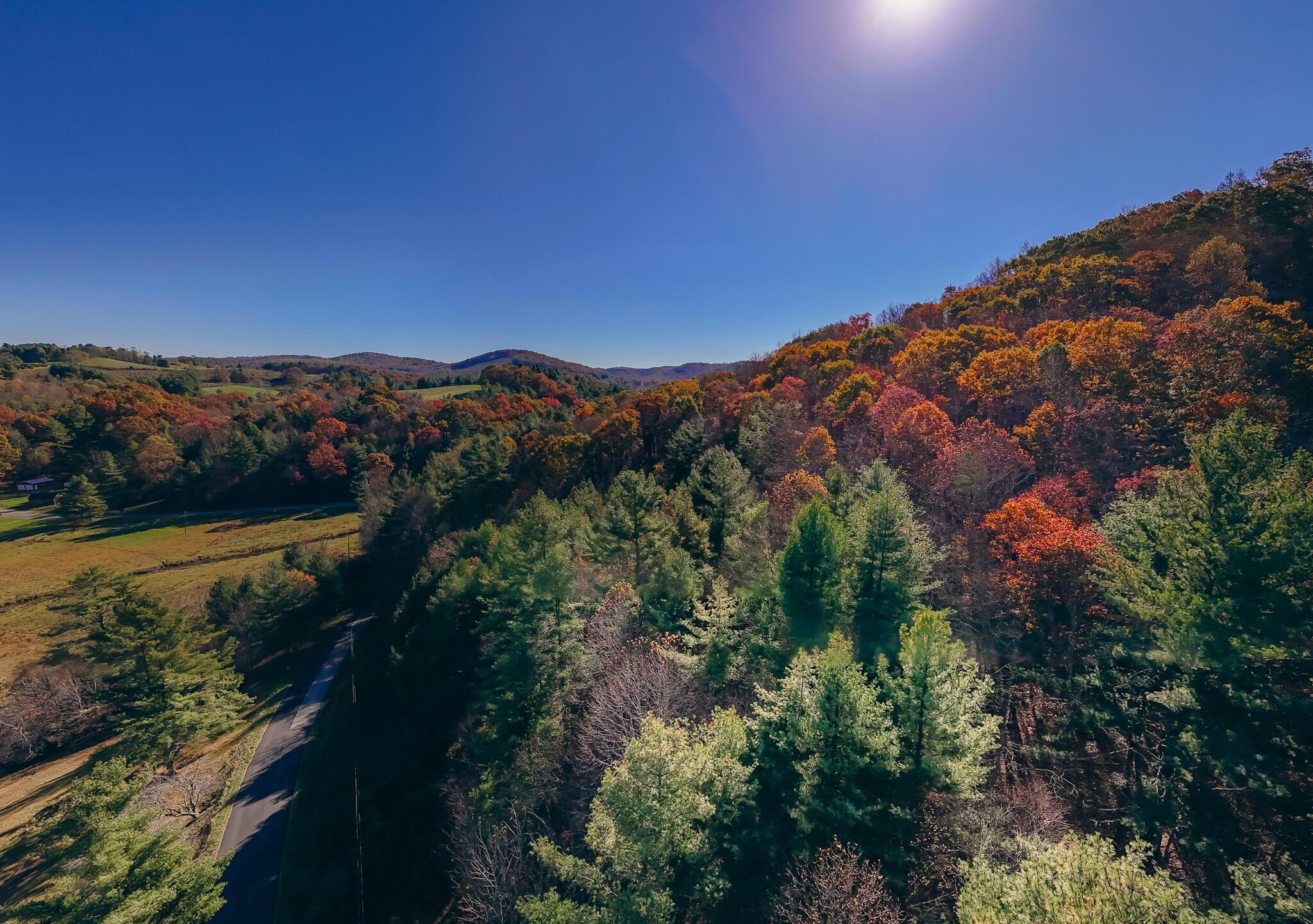 Image 4: Puin pic 14