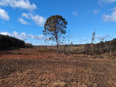 Lot #5 & 6 Walker RD