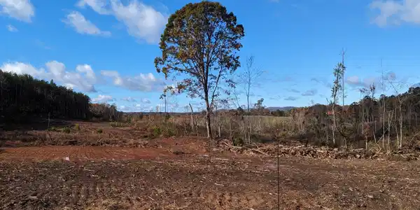Lot #5 & 6 Walker RD