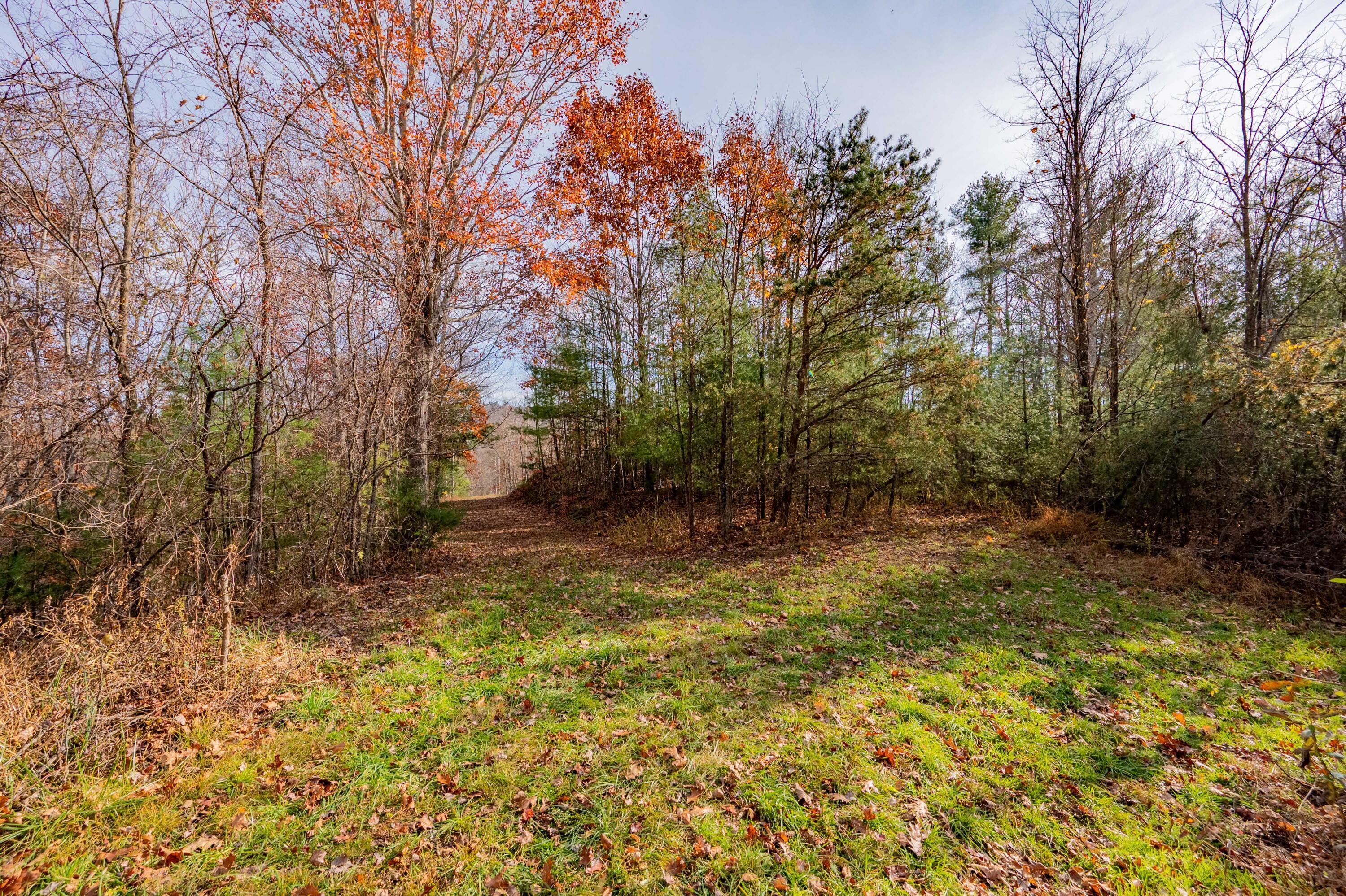 Image 4: copper hill-3