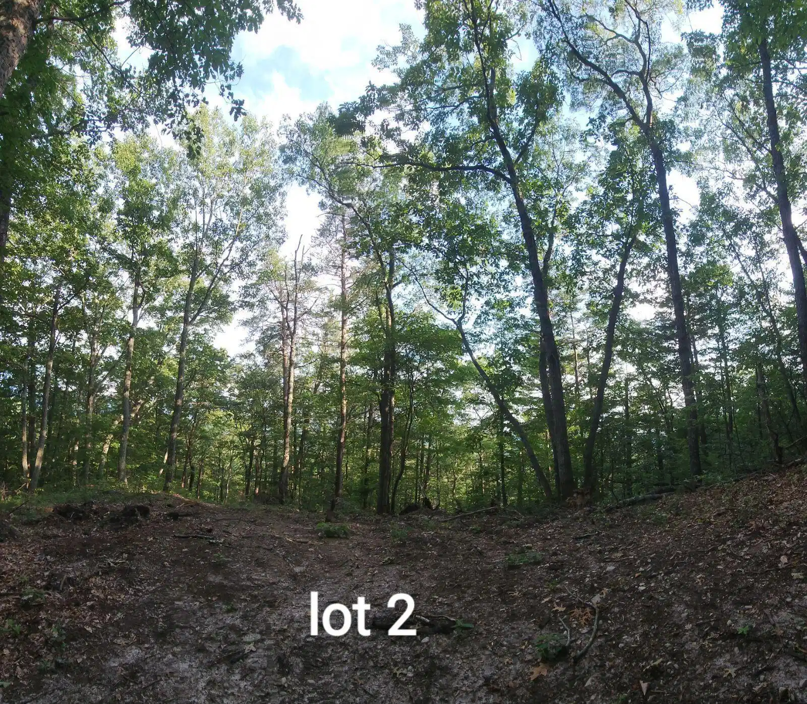 Image 1: Lot 2
